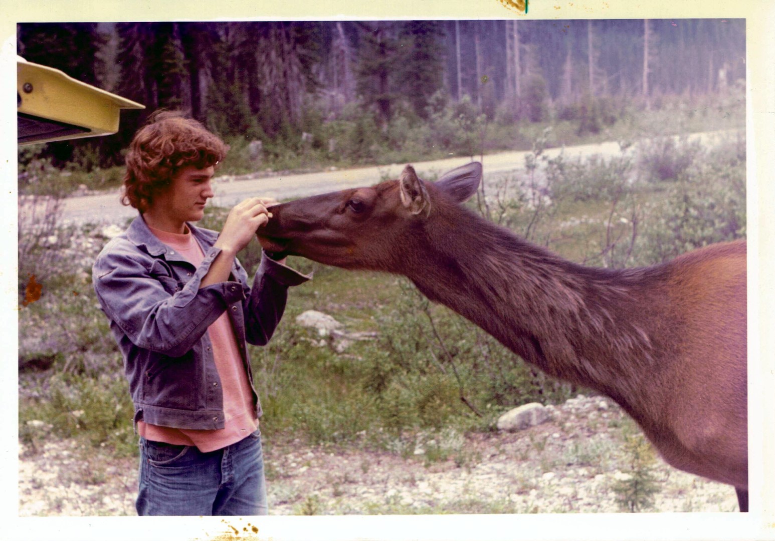 Feeding the elk_000243 (Large).jpg